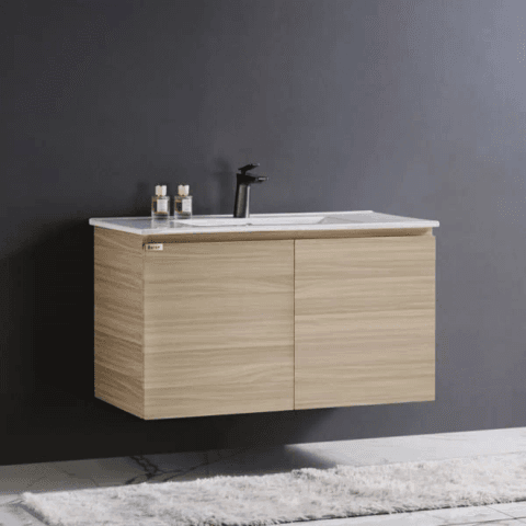 Baron A109 Stainless Steel Cabinet with Insert Basin 910mm (6 Colours)