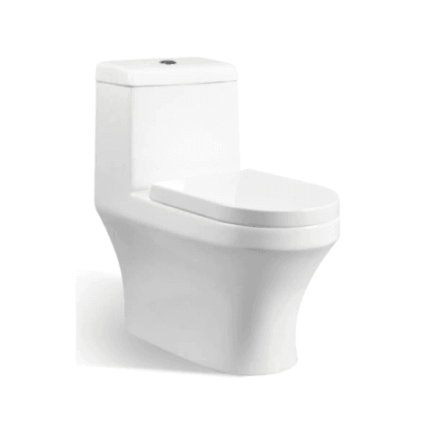 Vasile V519 Toilet Bowl