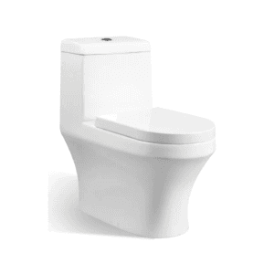 Vasile V519 Toilet Bowl
