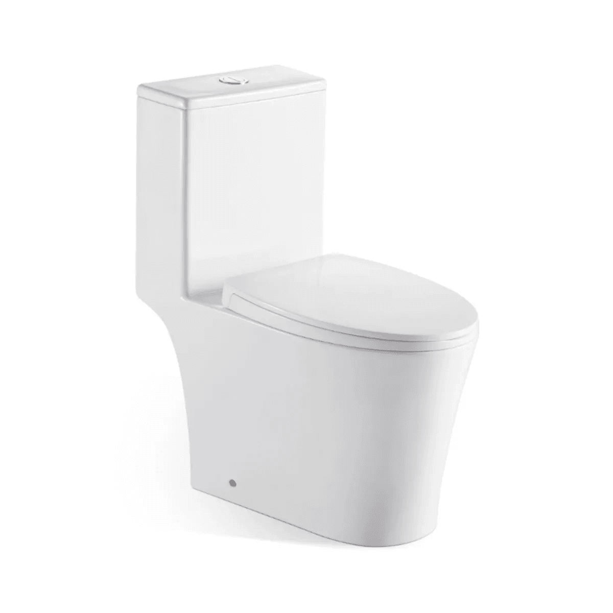 Vasile V597 Rimless Flush Toilet Bowl